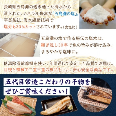 旬の味をそのまま冷凍!常造干物セットおまかせ5種10パック 真空個包装