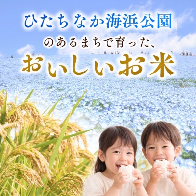 茨城県産　ふくまる2kgとコシヒカリ2kg　精米　計4kg
