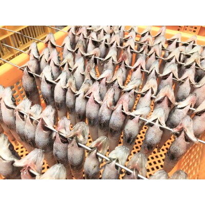 (潮騒の宿　丸徳)　茨城県産　めひかり天日干し　焼魚・唐揚げ　250g×4袋　