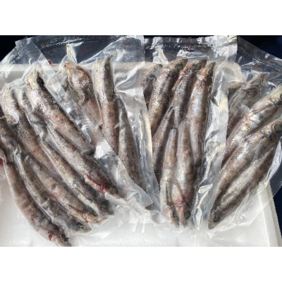(潮騒の宿　丸徳)　茨城県産　めひかり天日干し　焼魚・唐揚げ　250g×4袋　