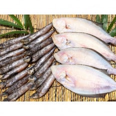 (潮騒の宿 丸徳) 茨城県産 めひかり・カレイ天日干し 焼魚・唐揚げ 250g&times;各2袋