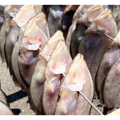 茨城県産カレイ天日干し 焼魚 唐揚げok 250g 4袋 お礼品詳細 ふるさと納税なら さとふる