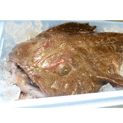 【先行予約2月発送】常陸名物　あんこう鍋セット(3～4人前)