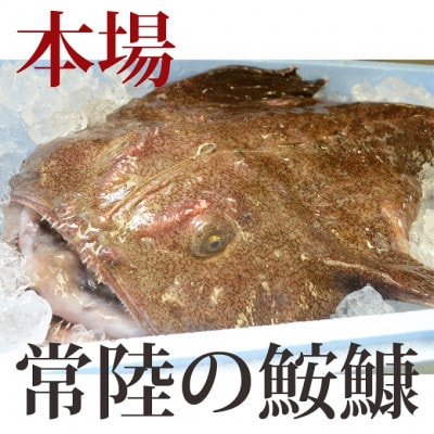 【3月発送】常陸名物　あんこう鍋セット(3～4人前)