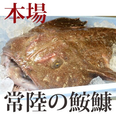 【先行受付9月発送】常陸名物　あんこう鍋セット(3～4人前)