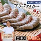 魚兵水産こだわりのブラックタイガー海老　 10尾10パック(計2400g程度)