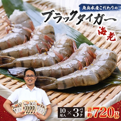 【毎月定期便】魚兵水産こだわりのブラックタイガー海老　 10尾3パック(計720g程度)全12回