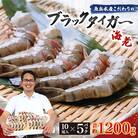 【毎月定期便】魚兵水産こだわりのブラックタイガー海老　 10尾5パック(計1200g程度)全12回