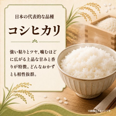 先行予約　令和8年度　ひたちなか市産　コシヒカリ　玄米20kg(10kg×2袋)