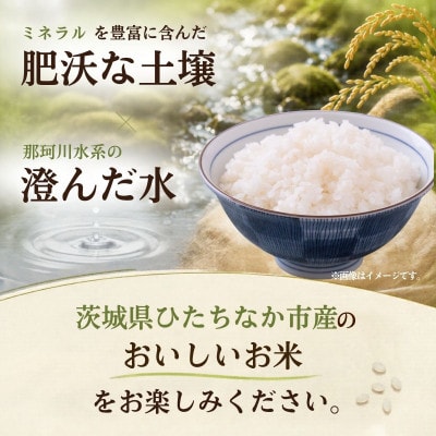 先行予約　令和8年度　ひたちなか市産　コシヒカリ　玄米20kg(10kg×2袋)