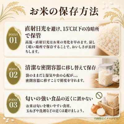 先行予約　令和8年度　ひたちなか市産　コシヒカリ　玄米20kg(10kg×2袋)