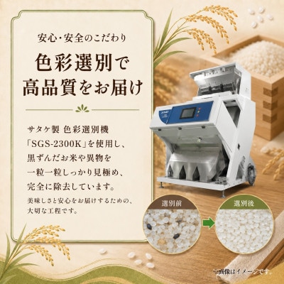 先行予約　令和8年　ひたちなか市産　コシヒカリ　玄米30kg(30kg×1袋)
