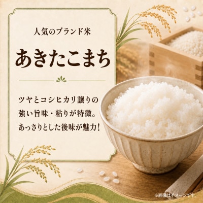 先行予約　令和8年　ひたちなか市産　あきたこまち　玄米10kg(10kg×1袋)