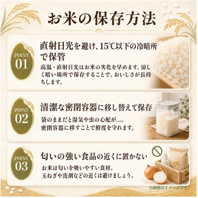 先行予約　令和8年　ひたちなか市産　あきたこまち　精米　10kg(10kg×1袋)　