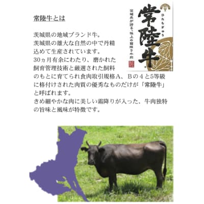 常陸牛「ハンバーグ150g×4個」&「メンチカツ80g×4個」