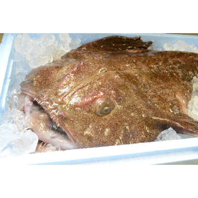 常陸名物あんこう鍋(3～4人前)と常陸牛ハンバーグ(4個)セット