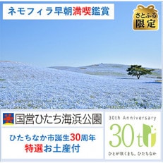 さとふる限定【ネモフィラ早朝満喫鑑賞体験15名限定】国営ひたち海浜公園 ひたちなか市誕生30周年事業