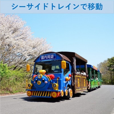 さとふる限定【ネモフィラ早朝満喫鑑賞体験15名限定】国営ひたち海浜公園　ひたちなか市誕生30周年事業