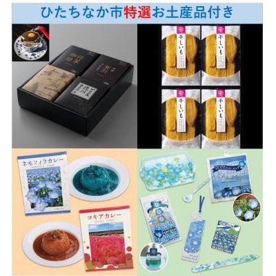 さとふる限定【ネモフィラ早朝満喫鑑賞体験15名限定】国営ひたち海浜公園　ひたちなか市誕生30周年事業