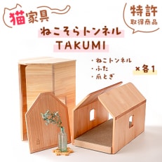 猫家具「ねこそらトンネルTAKUMI」現代の名工作【特許取得商品】