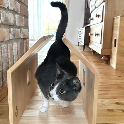 猫家具「ねこそらトンネルTAKUMI」現代の名工作【特許取得商品】