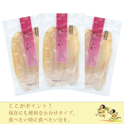 【毎月定期便】【工場直送】茨城県産 紅はるかほし芋100g×8袋(800g)全5回