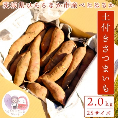 【先行受付】11月下旬より発送!茨城県 ひたちなか産 さつまいも 紅はるか 箱込2kg【訳あり】 | ふるさと納税のお礼品