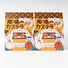 【職人が手焼き・地元で人気の阪場のカステラ】食べきりサイズ2個セット 〈夏季用〉