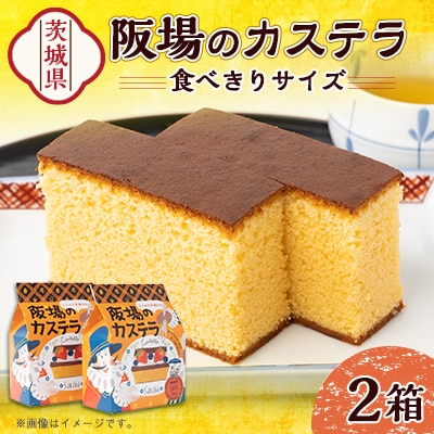 【職人が手焼き・地元で人気の阪場のカステラ】食べきりサイズ2個セット