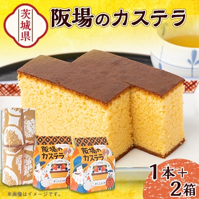 【職人が手焼き・地元で人気の阪場のカステラ】1号&食べきりサイズ2個セット