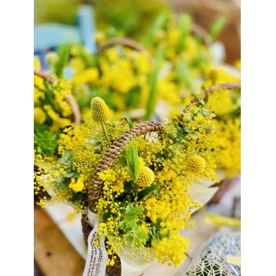 (3月発送)ミモザのバスケットアレンジ【限定品】おしゃれなお花をインテリア・壁飾り・プレゼント に!