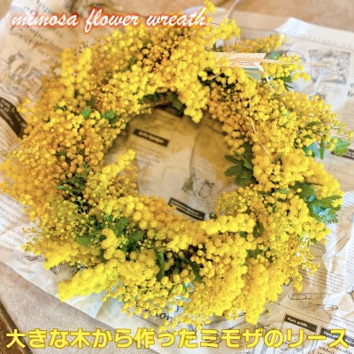 (3月発送)大きな木から作ったミモザのリース【限定品】おしゃれなお花をインテリア壁飾りプレゼントに!