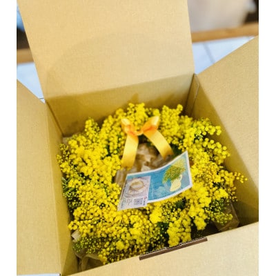 (3月発送)大きな木から作ったミモザのリース【限定品】おしゃれなお花をインテリア壁飾りプレゼントに!