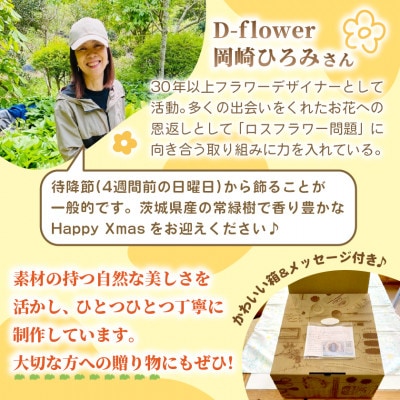 【2026年11月下旬以降発送開始】常緑樹の香りあふれるクリスマスリース(大きいサイズ)