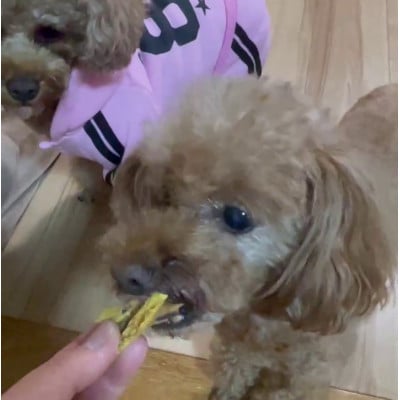 茨城県産ほしいもの未利用部分を使用した犬の無添加おやつ(フレークタイプ90g/袋☓2袋)