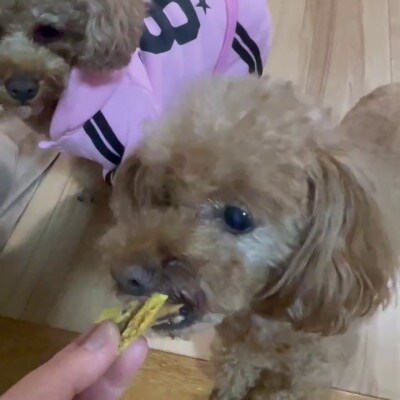 茨城県産ほしいもの未利用部分を使用した犬の無添加おやつ(フレークタイプ30g×2袋)