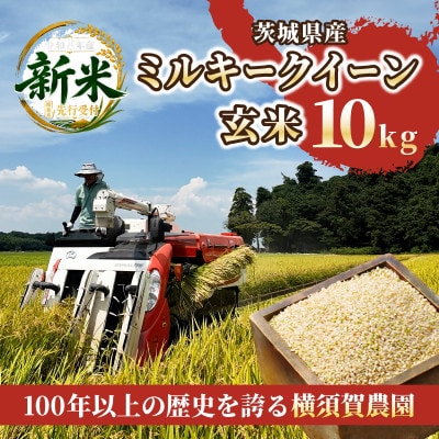 【先行予約・9月以降順次発送】令和8年　ひたちなか市産　ミルキークイーン(玄米)10kg×1袋