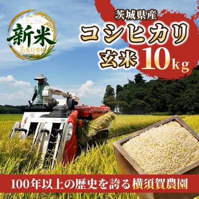 【先行予約・9月以降順次発送】令和8年　ひたちなか市産　コシヒカリ(玄米)10kg×1袋