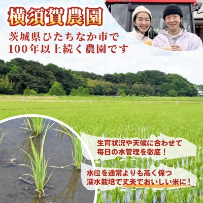 先行予約・9月以降順次発送】令和7年 ひたちなか市産 コシヒカリ