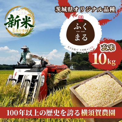 【先行予約・9月以降順次発送】令和8年　ひたちなか市産　ふくまる(玄米)10kg×1袋
