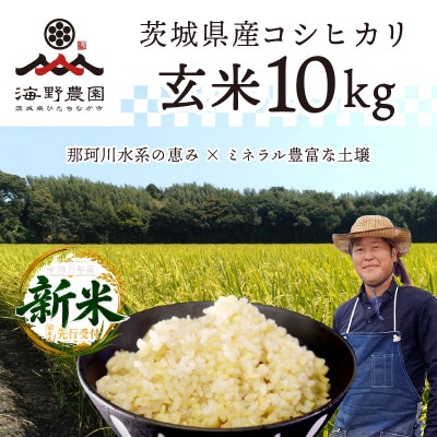 【先行予約・9月以降順次発送】新米　令和8年　ひたちなか市産　コシヒカリ(玄米)10kg×1袋