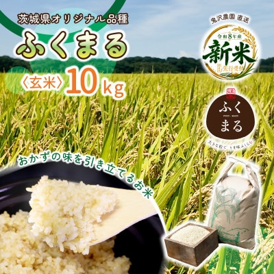 【先行予約・9月以降順次発送】令和8年　ひたちなか市産　ふくまる(玄米)10kg×1袋