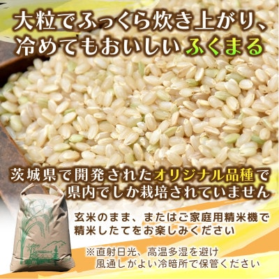 【先行予約・9月以降順次発送】令和8年　ひたちなか市産　ふくまる(玄米)10kg×1袋