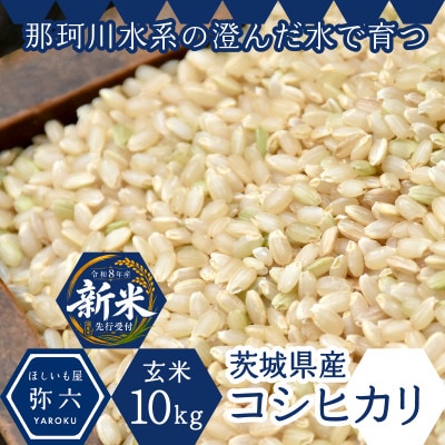 【先行予約・9月以降順次発送】令和8年ひたちなか市産　コシヒカリ(玄米)【10kg】