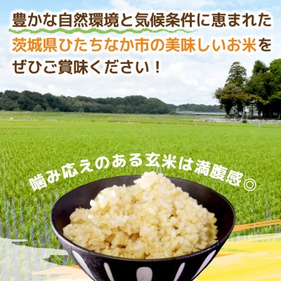 【先行予約・9月以降順次発送】令和8年　ひたちなか市産　ふくまる(玄米)10kg×1袋