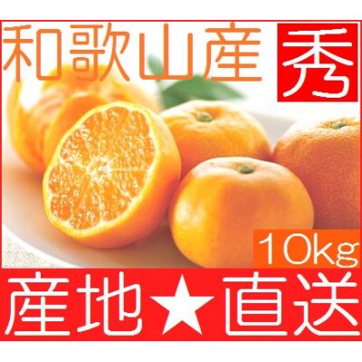 【ふるさと納税】和歌山県紀州 完熟みかん プレミアム 赤秀ランク 10kg(約70個)