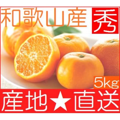 【ふるさと納税】和歌山県紀州 完熟みかん プレミアム 赤秀品ランク 5kg(約30個)