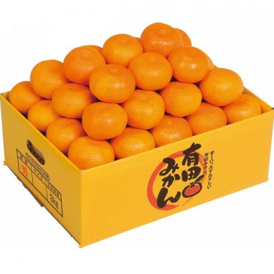 【ふるさと納税】和歌山県紀州 完熟みかん プレミアム 赤秀品ランク 5kg(約30個)