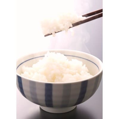 【令和5年産】和歌山県産キヌヒカリ　5kg