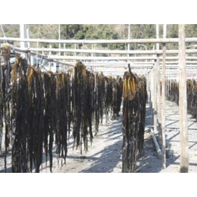 紀州衣奈産乾燥わかめ　150g×5パック(2025年産)